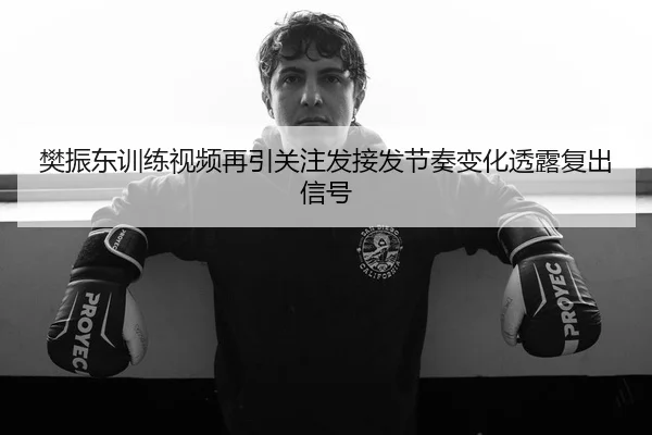 樊振东训练视频再引关注发接发节奏变化透露复出信号